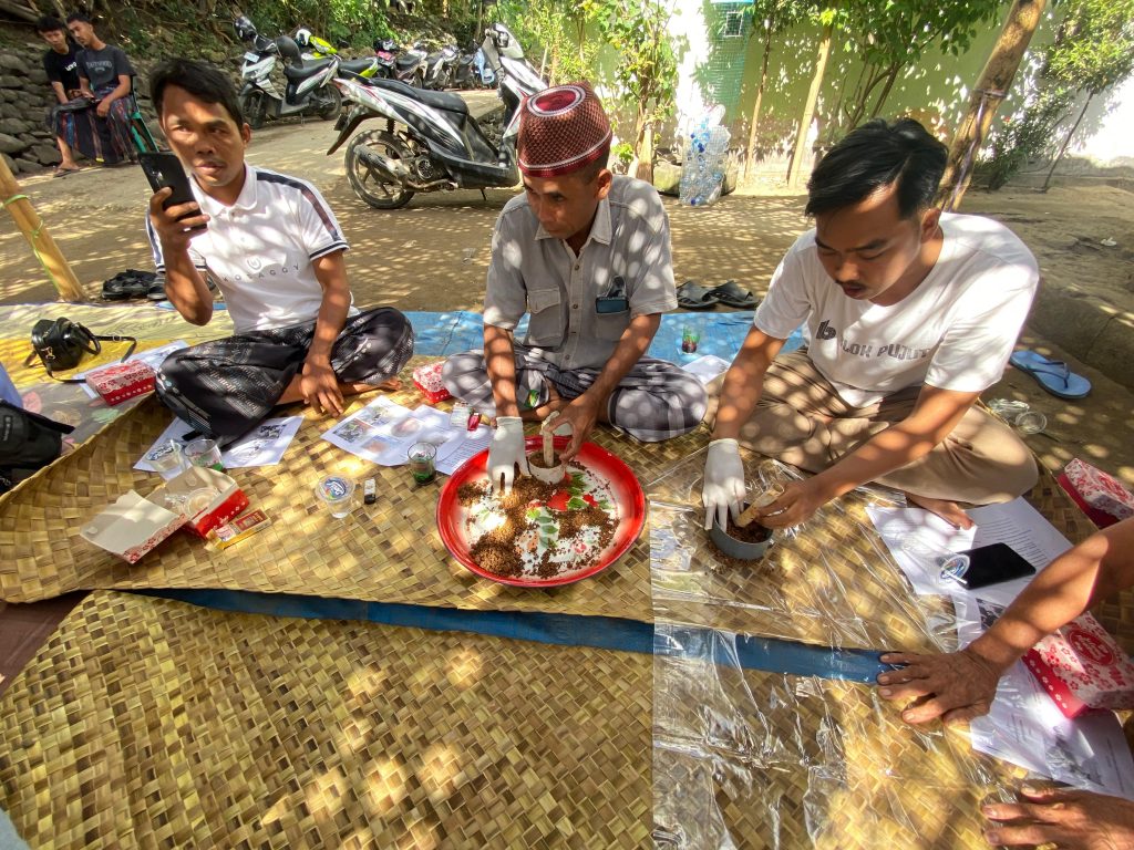 Praktik Pembuatan Urea Molasses Block (UMB) oleh Seluruh Peserta Sosialisasi (5/8/2025)