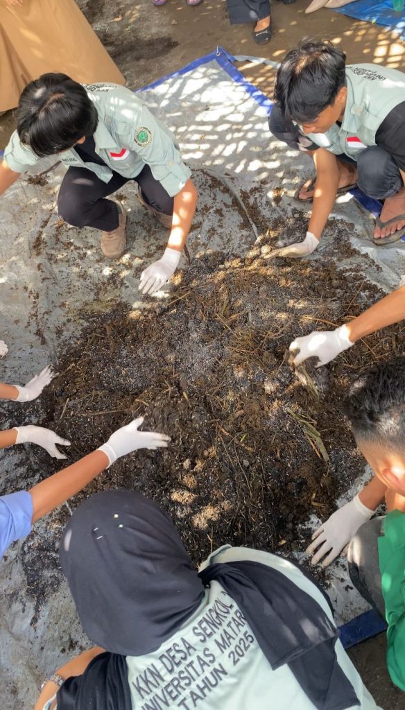 Peserta sosialisasi mengikuti praktik pembuatan pupuk organik berbahan kotoran ternak dan bioaktivator Agrozyme di Dusun Loang Landak, Desa Sengkol, Lombok Tengah, Selasa (29/7/2025).